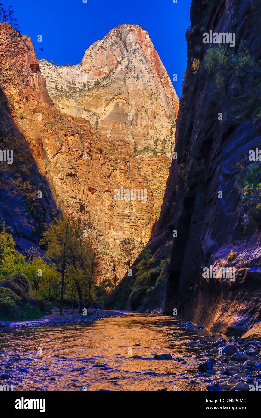 This is a view of the entrance to The Narrows, a feature of Zion National Park, Springdale, Washington County, Utah, USA. Stock Photo