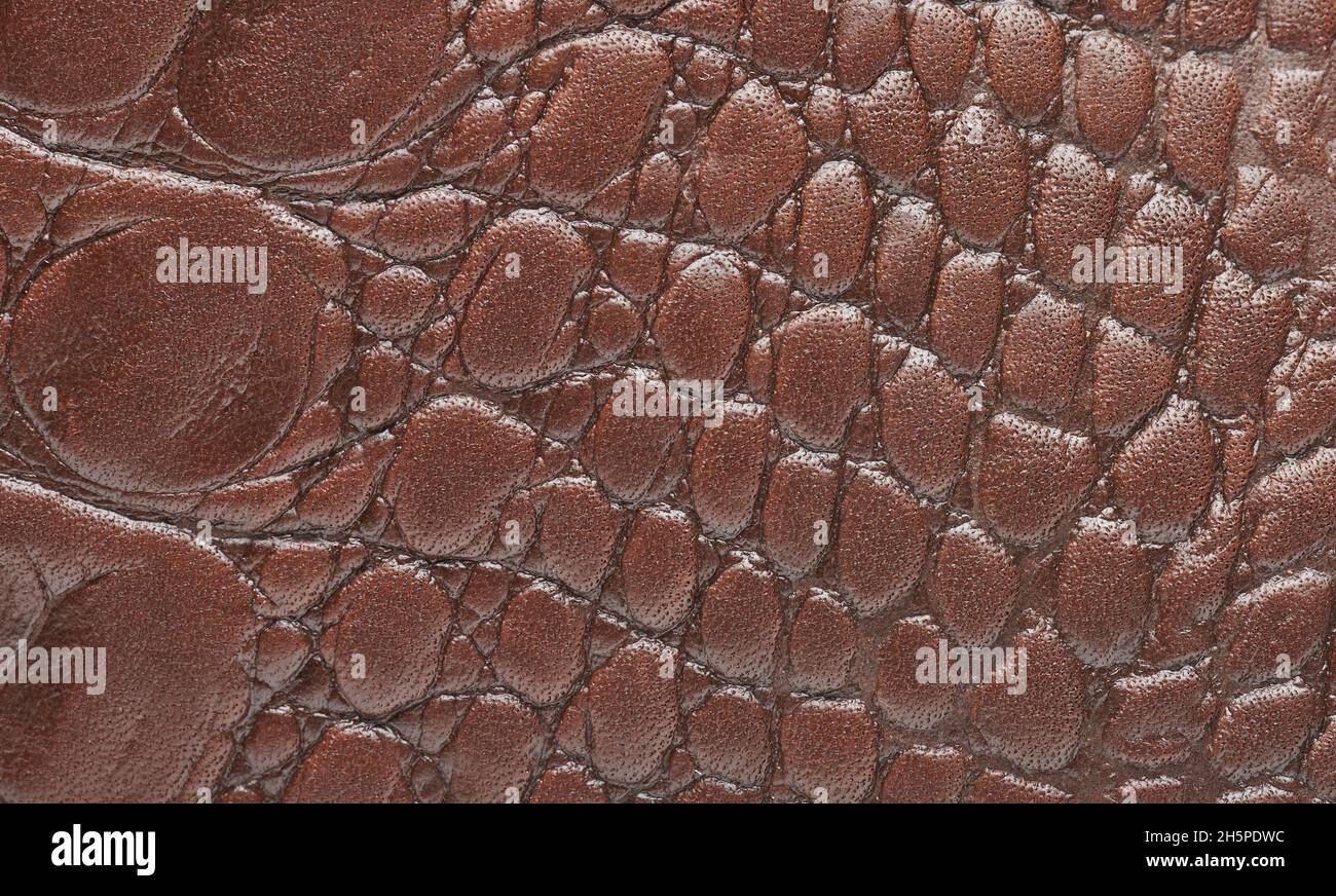 Abstract brown snake lathere background macro close up view. Texture of reptile skin Stock Photo