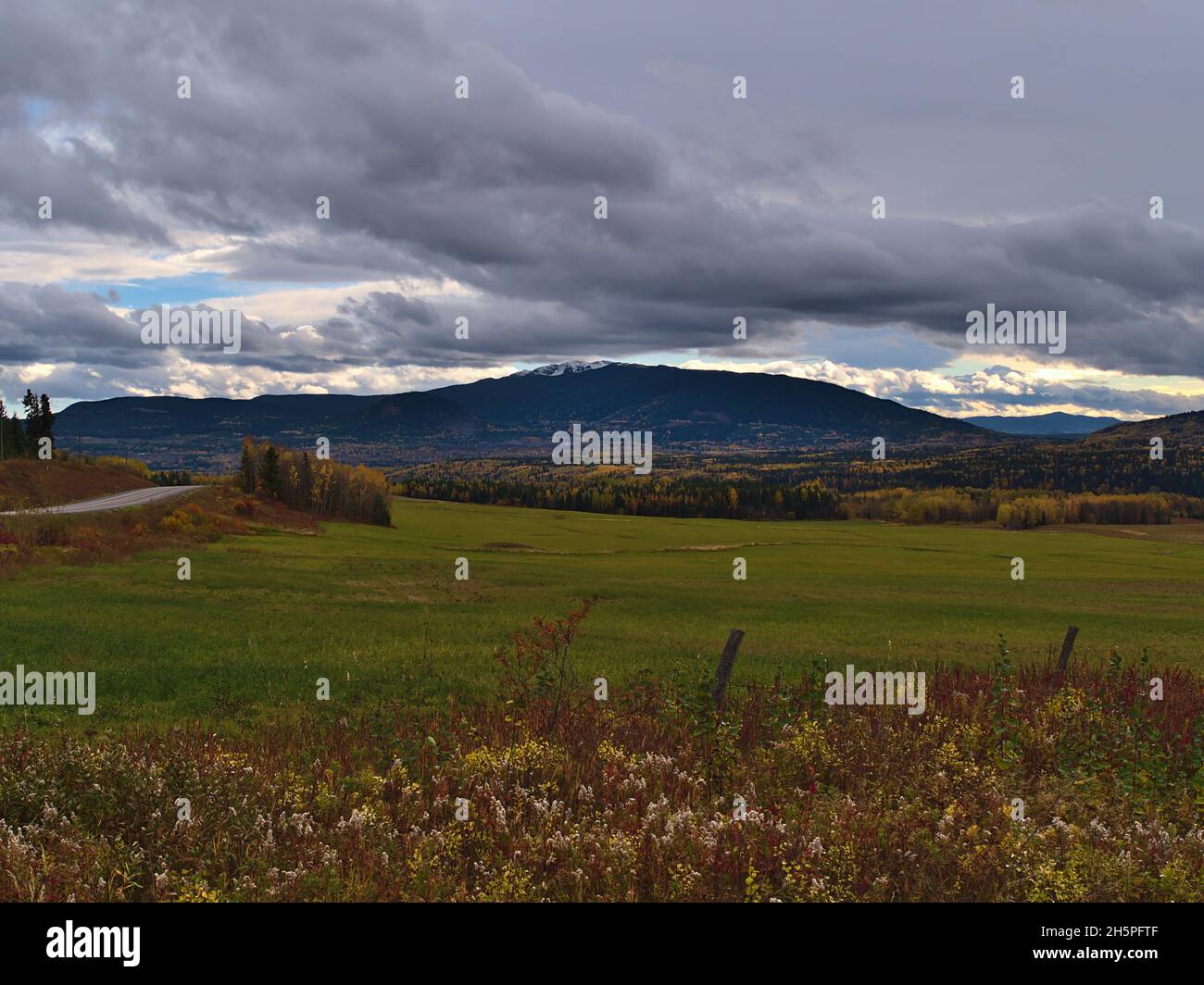 Beautiful autumn landscape at Yellowhead Highway (16) near Houston, British Columbia, Canada with green meadow surrounded by colorful grass and trees. Stock Photo
