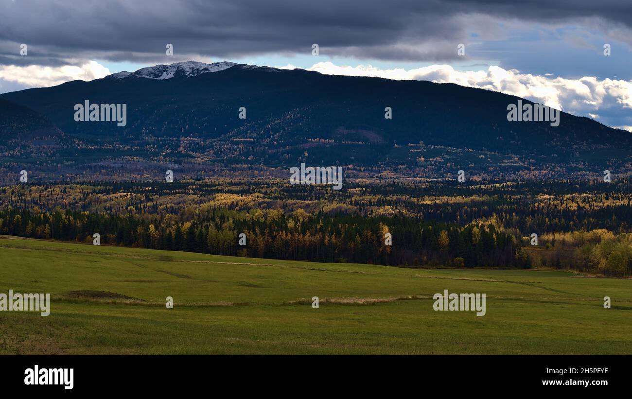 Autumn landscape near Yellowhead Highway (16) north of Houston, British Columbia, Canada with green meadow in front of colorful forest and mountain. Stock Photo