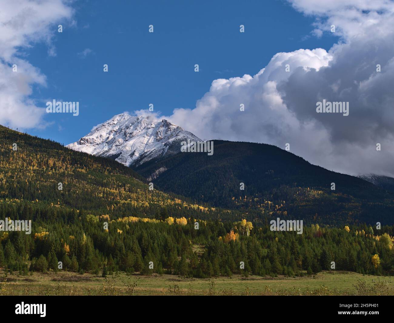 Beautiful autumn landscape near McBride, British Columbia, Canada viewed from Yellowhead Highway with meadow, colorful forest on the slope and peak. Stock Photo