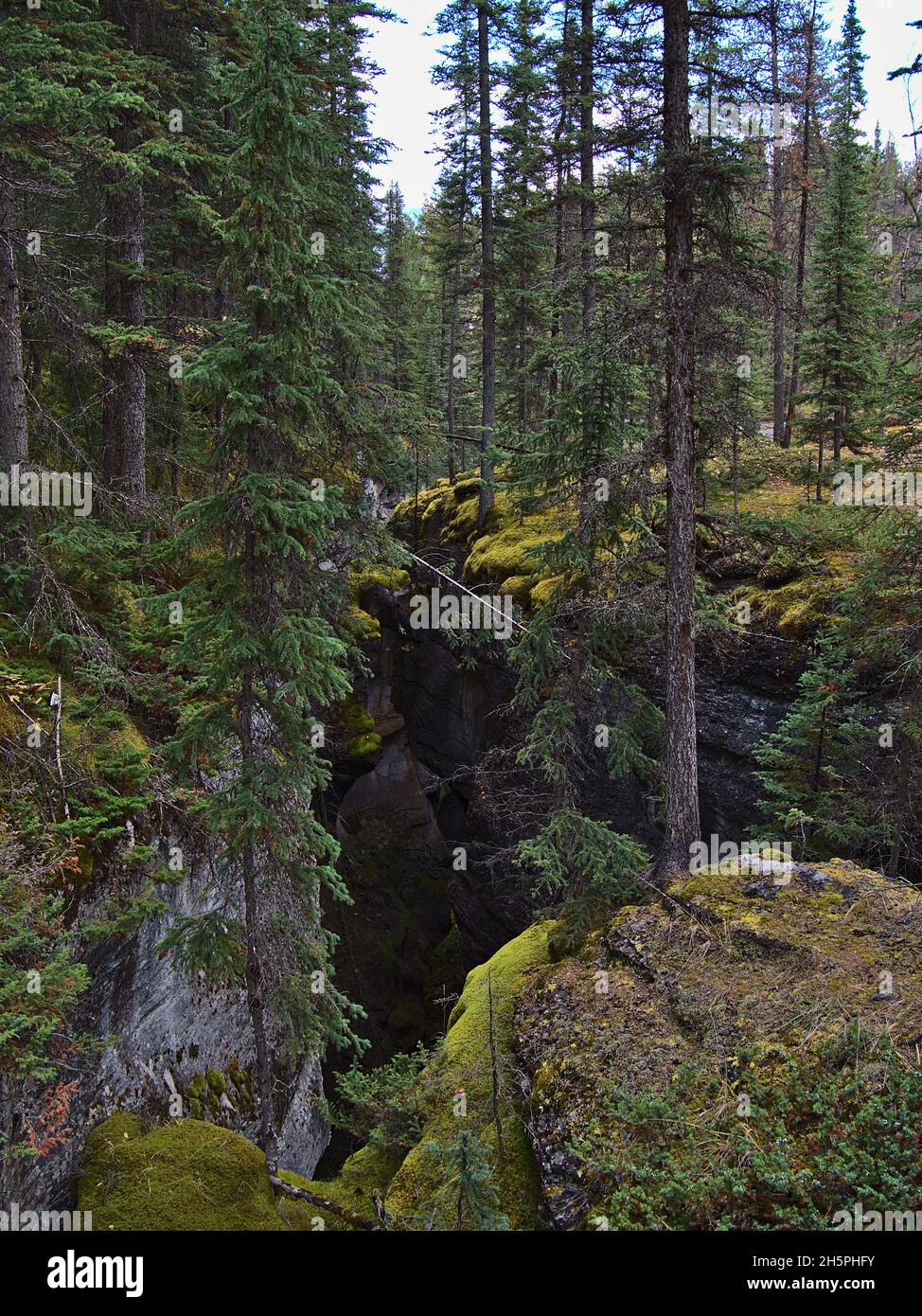 View of popular gorge Maligne Canyon in Jasper National Park, Alberta ...