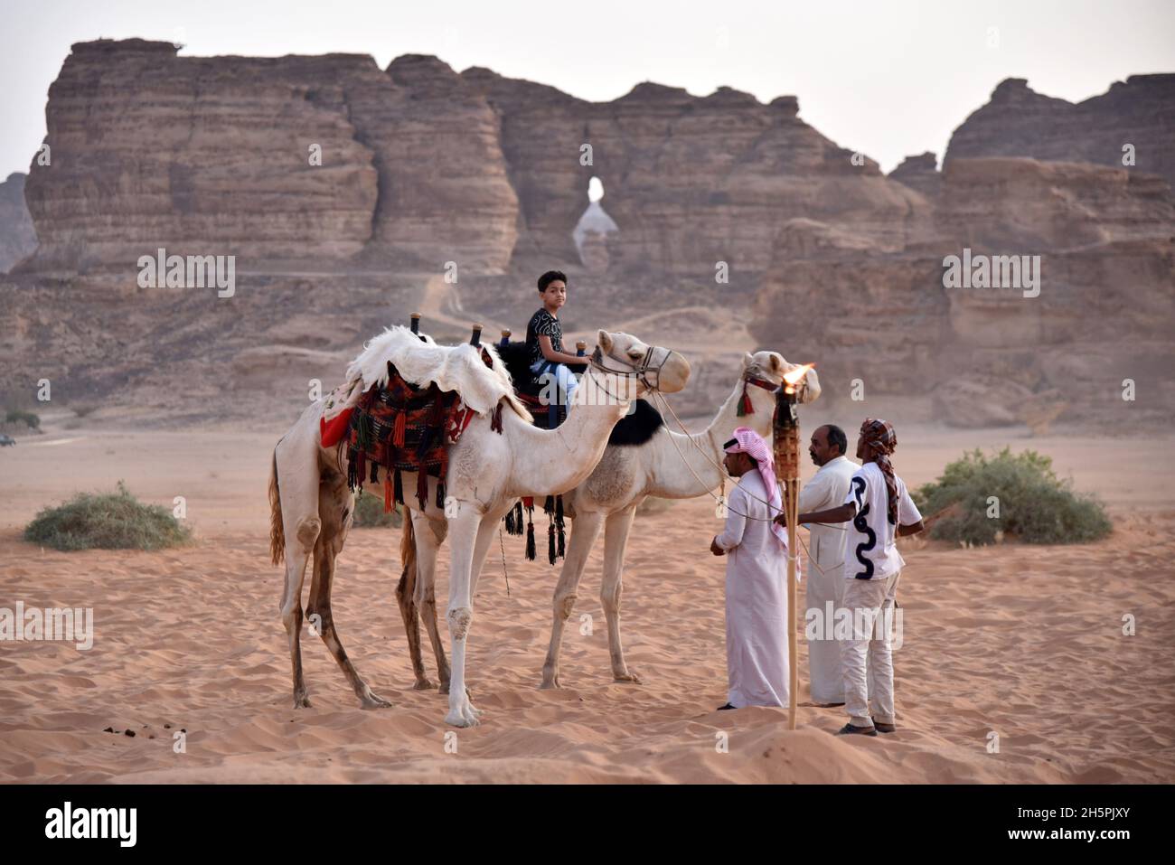 Alula, Saudi Arabia. 5th Nov, 2021. A boy rides a camel at the place of ...