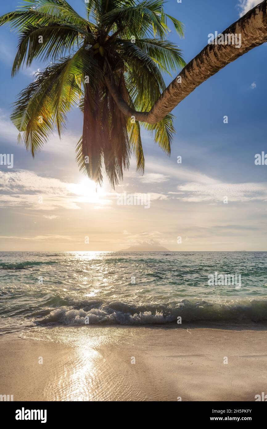 Turquoise tropical island sea water hi-res stock photography and images ...