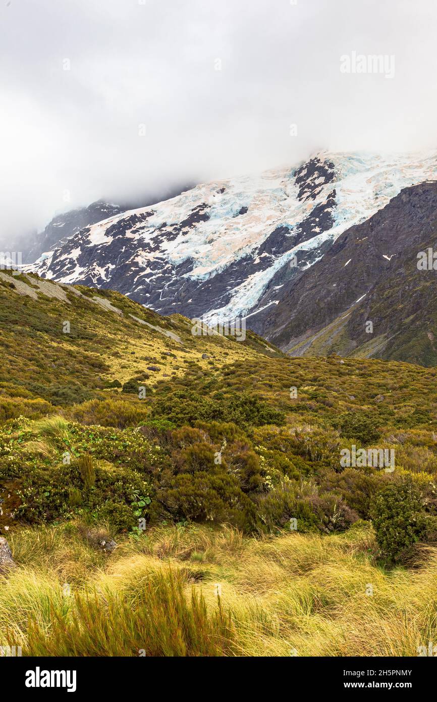 Southern Alps. Scenic track to the lake Hooker. South Island, New Zealand Stock Photo