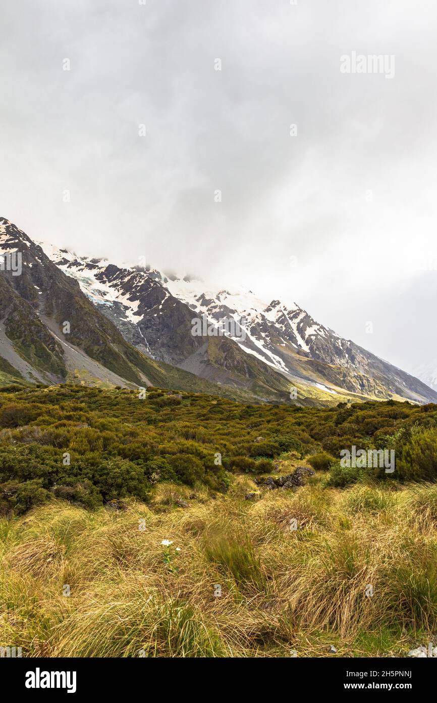 A picturesque valley close to Hooker Lake. Southern Alps. South Island, New Zealand Stock Photo