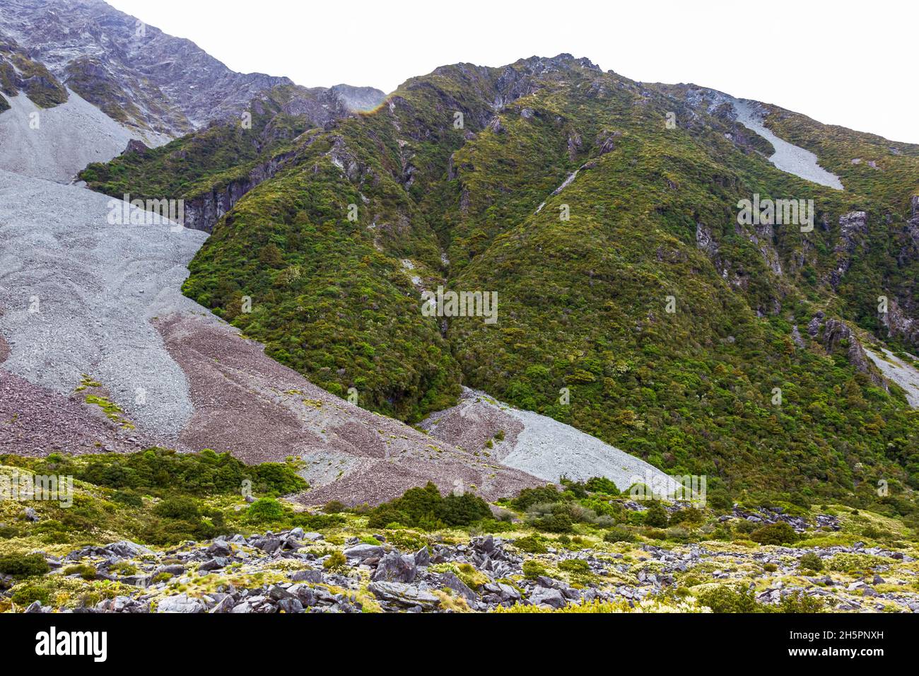 Glacier footprints in a valley between lakes in the Southern Alps. Trek between Hooker Lakes and Mller Lake. New Zealand Stock Photo