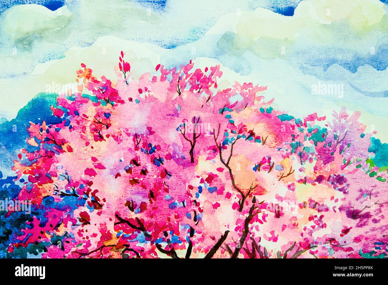 Pink red color of Wild himalayan cherry, in the morning with mountain sky, cloud background, Hand painted, beauty nature winter season in Thailand. Pa Stock Photo