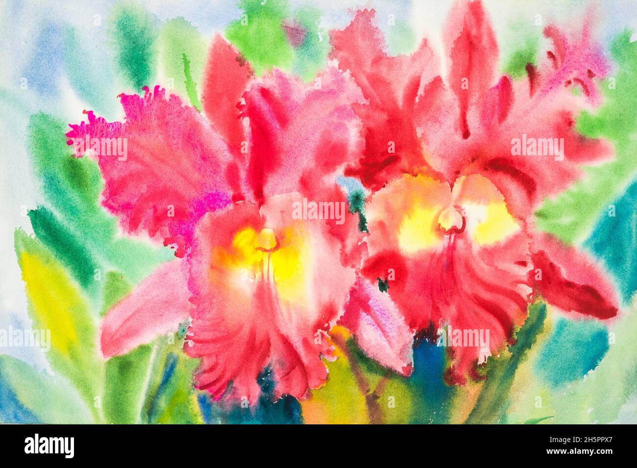 watercolor original painting red color of cattleya orchid  flowers  and green leaves of blue color background. Stock Photo