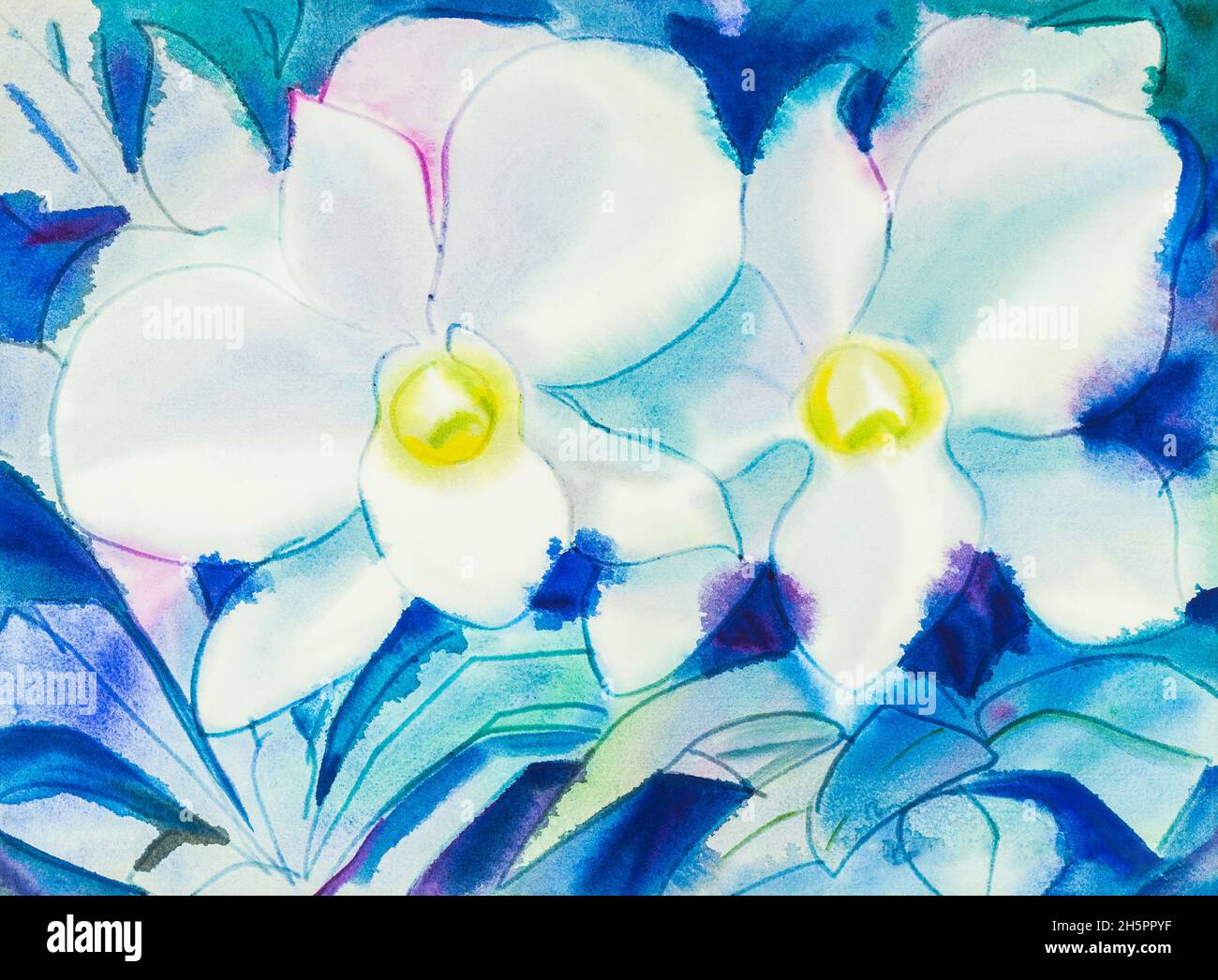 Abstract watercolor original painting white color of orchid  flowers  and green leaves in blue color background. Stock Photo