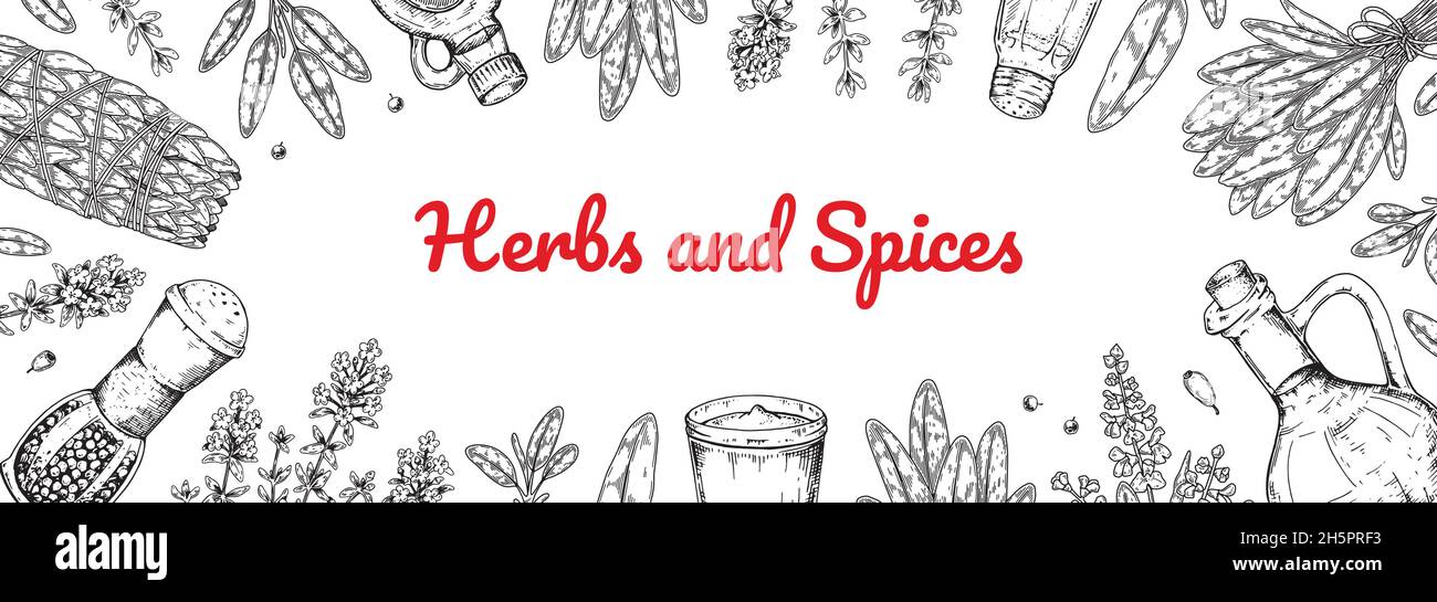 Hand drawn herbs and spices design. Vector illustration Stock Vector