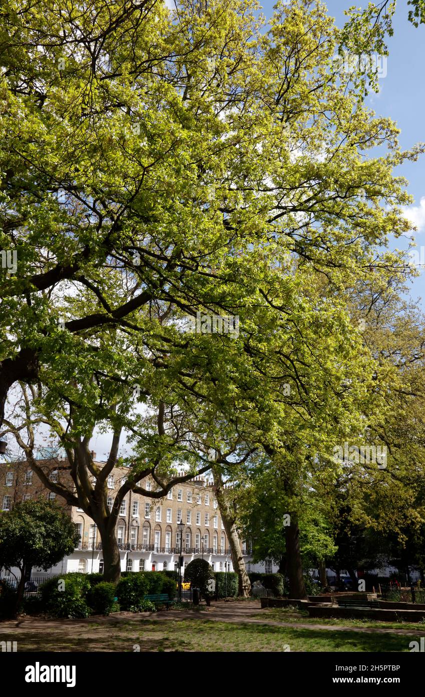 Myddleton Square, Finsbury, London, UK Stock Photo