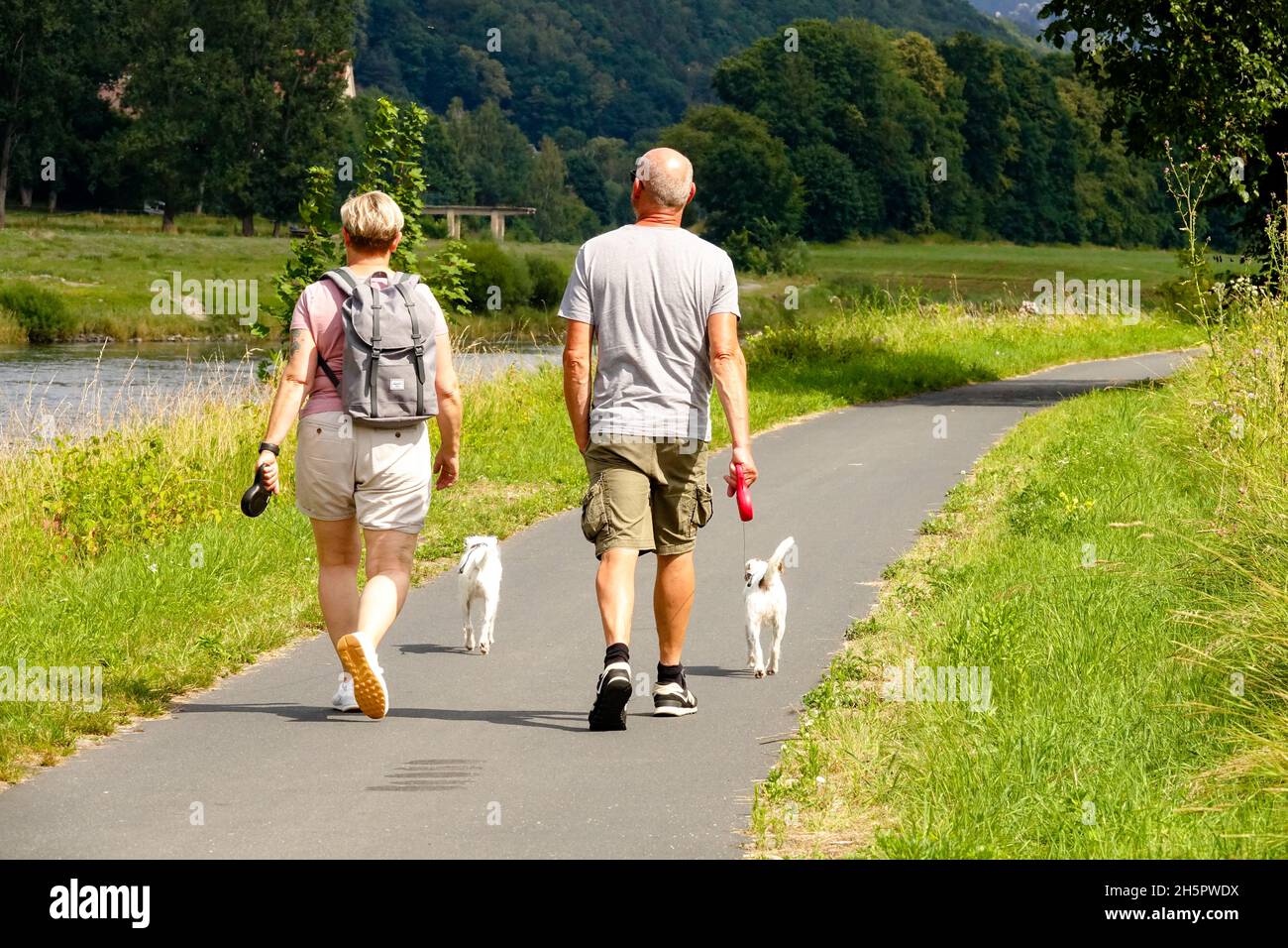 Senior couple walking with dogs along Elbe River Germany Stock Photo