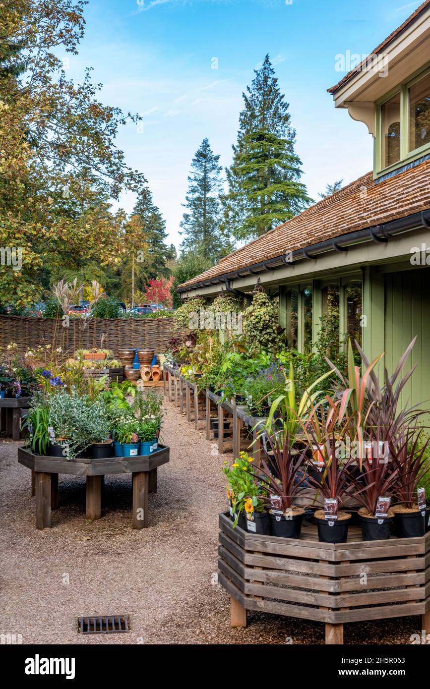 garden centre selling plants for gardens and homes at holkham hall in