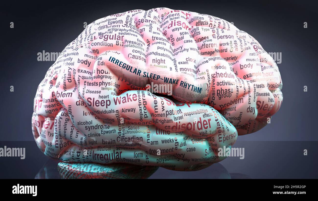 Irregular Sleep–wake Rhythm In Human Brain, Hundreds Of Terms Related ...