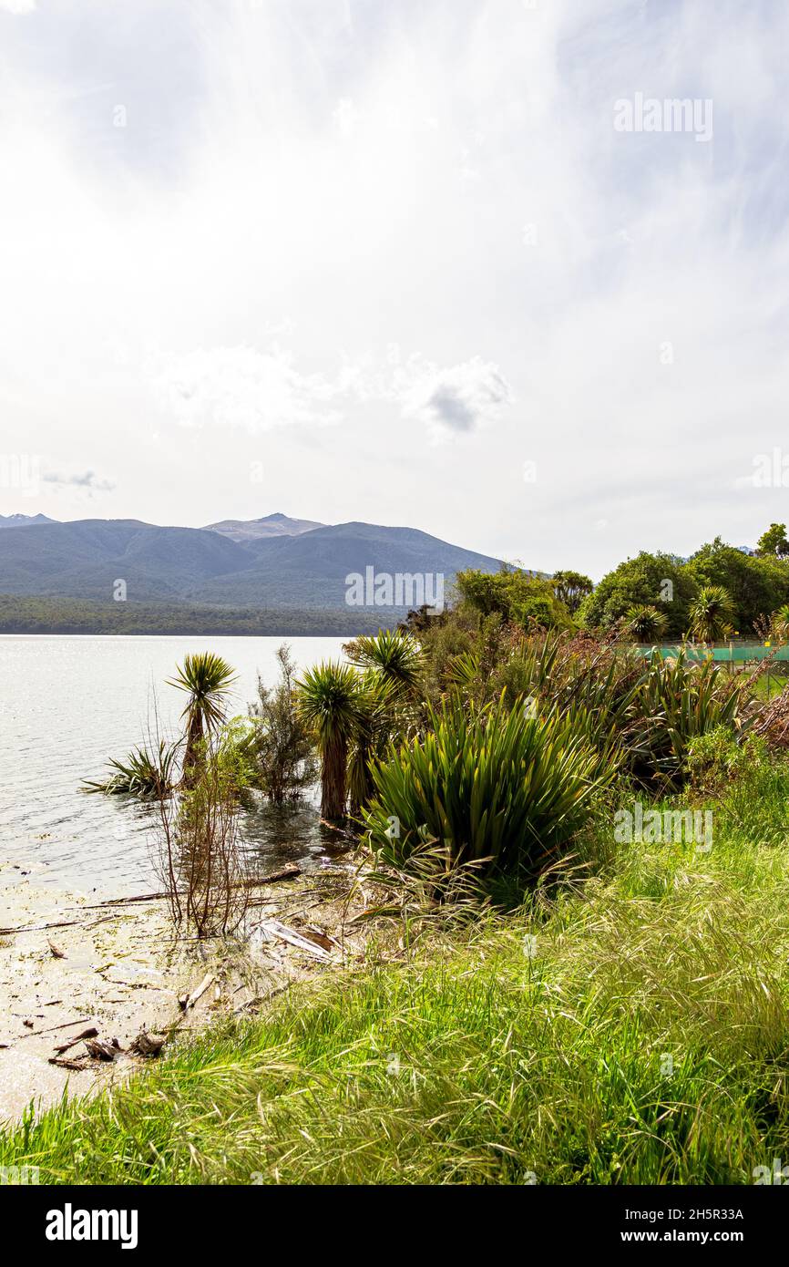 On the shores of Lake Te Anau. South Island, New Zealand Stock Photo