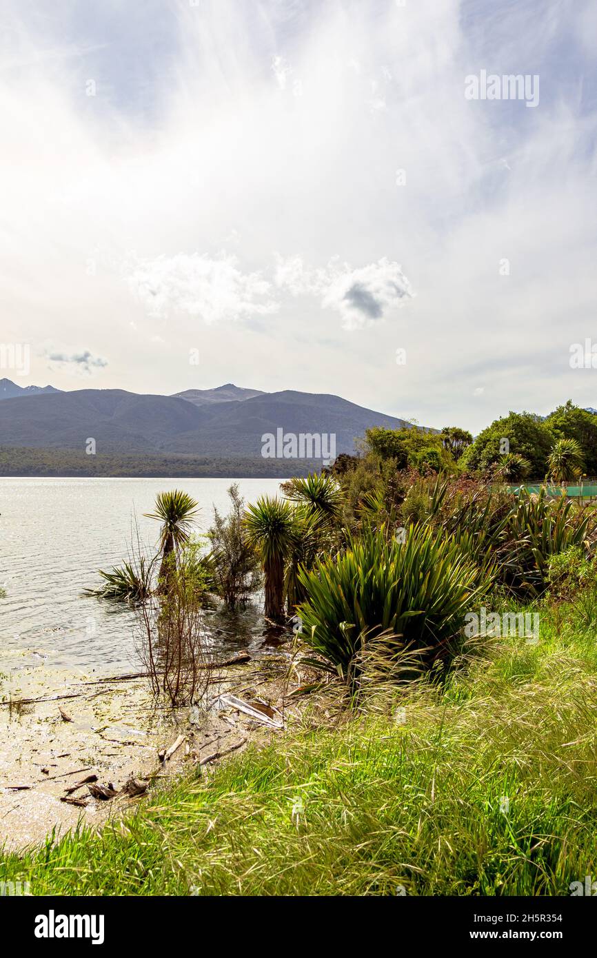 Cloudy day at Te Anau lake. South Island, New Zealand Stock Photo - Alamy