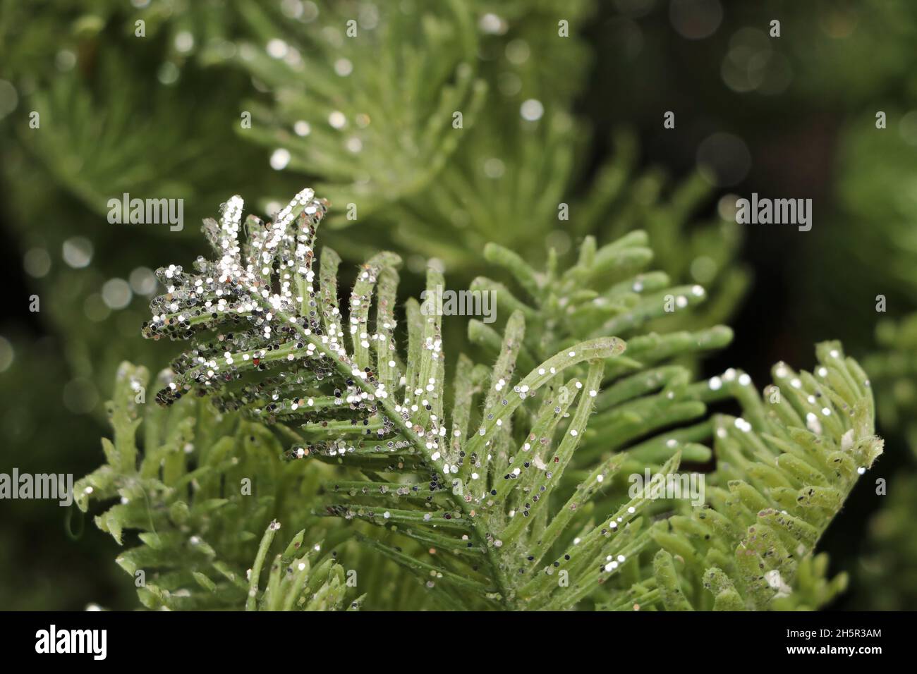 Sugar Pine Tree - Silver