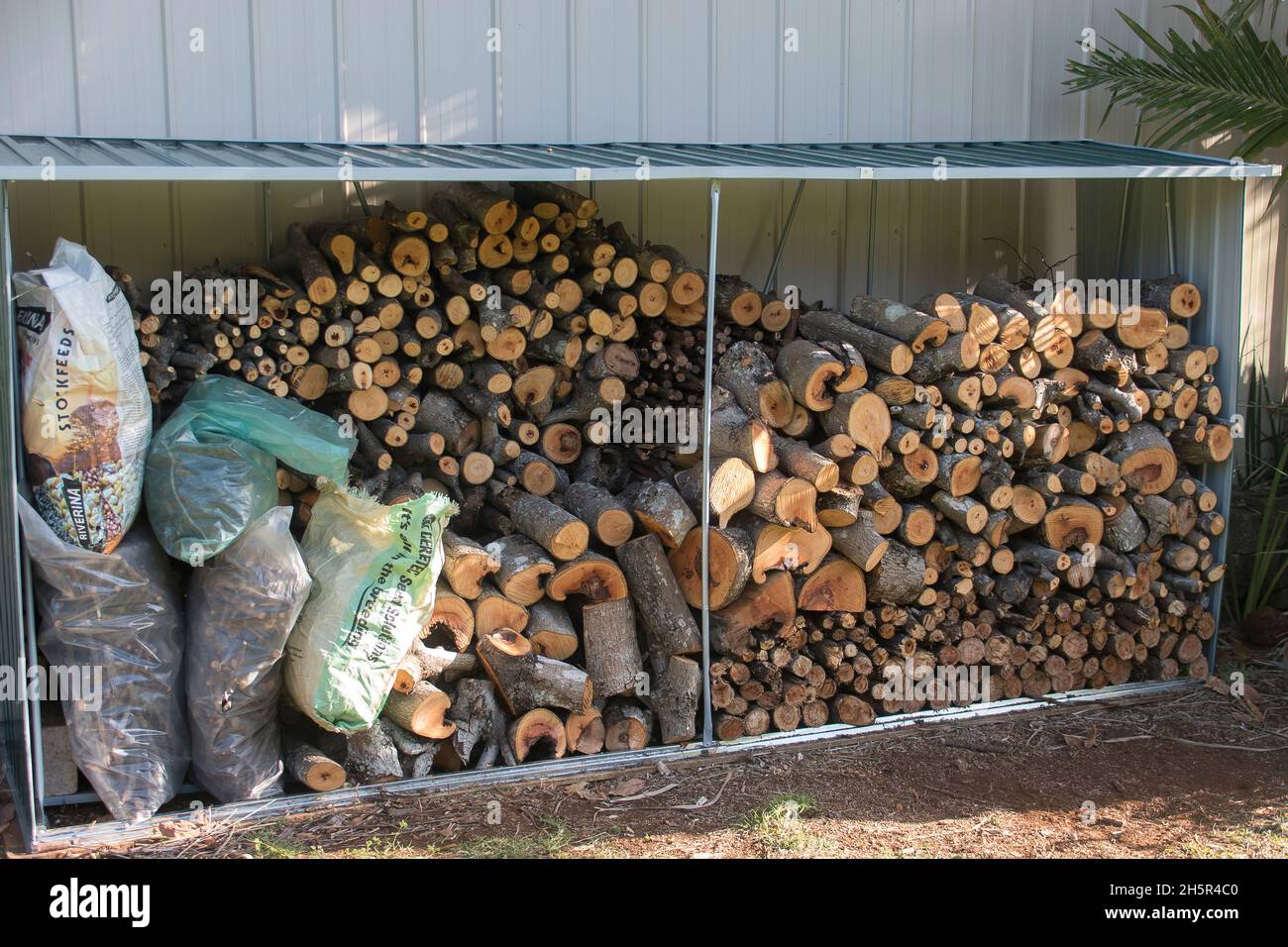 Storage shed with stacks of firewood, logs, seasoned and ready to use