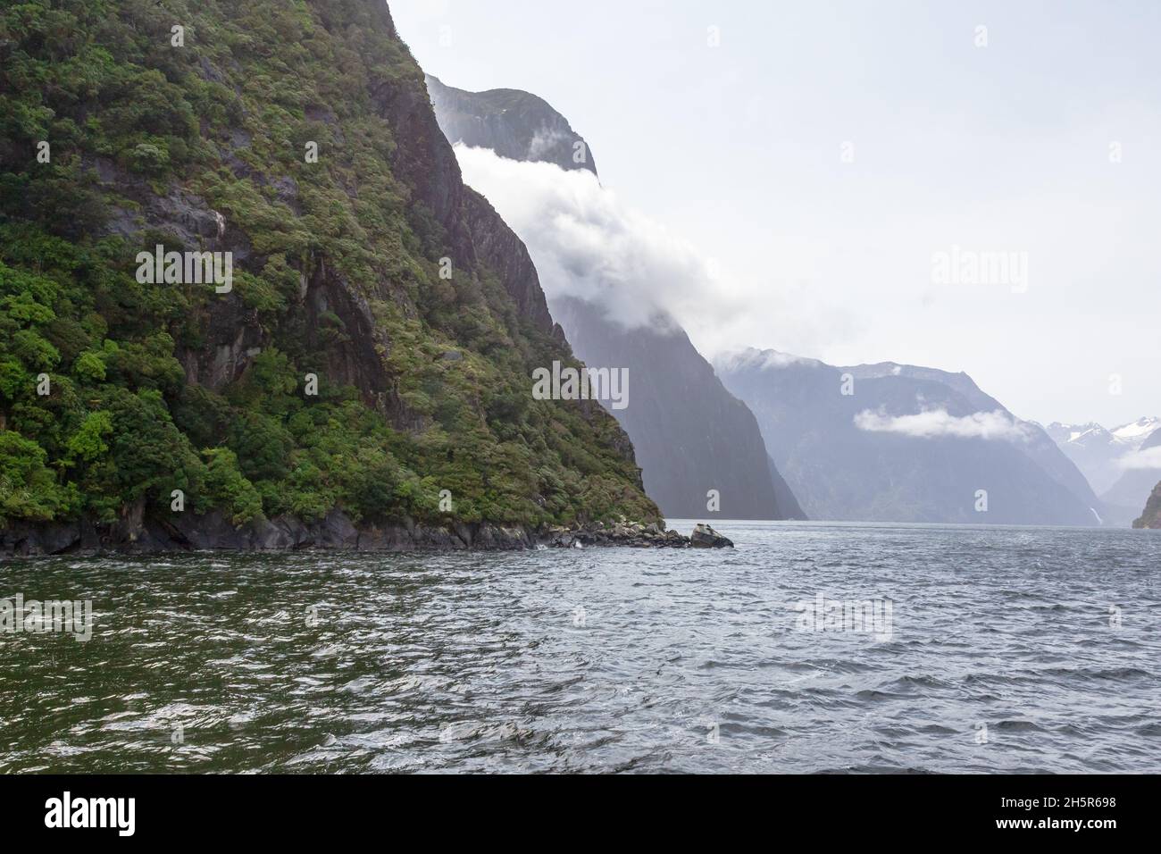 Steep slopes, covered with greenery on the banks of the fjord. FiordLand National Park. New Zealand Stock Photo