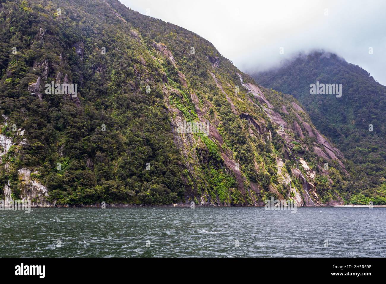 Wooded cliffs among the sea. FiordLand National Park. New Zealand Stock Photo