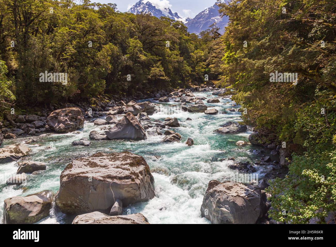 Fiordland National Park. Stormy river among green trees. South Island, New Zealand Stock Photo