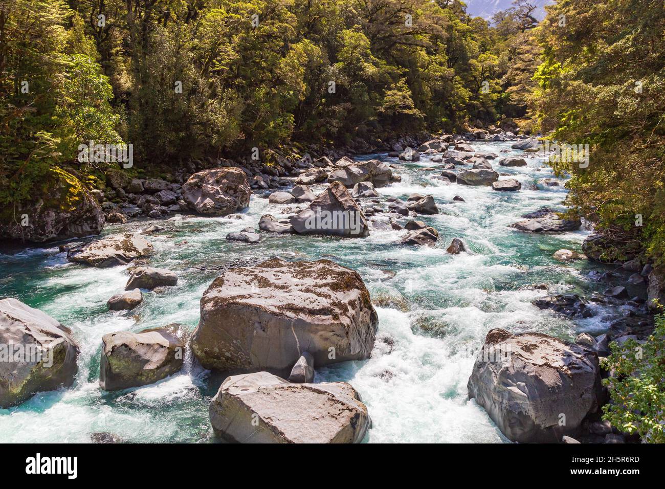 Fiordland National Park. Small fast river in the forest. New Zealand Stock Photo