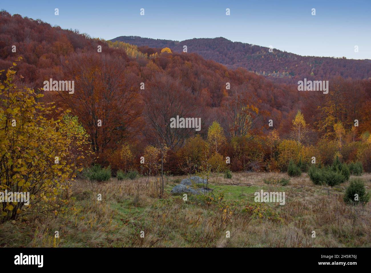 View of hills of Water Dividing ridge covered in red, orange and yellow ...