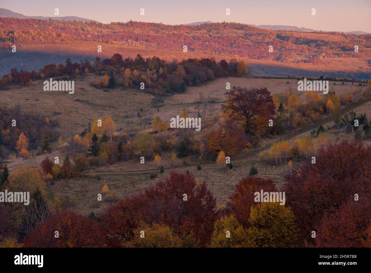 View of hills of Water Dividing ridge covered in red, orange and yellow ...