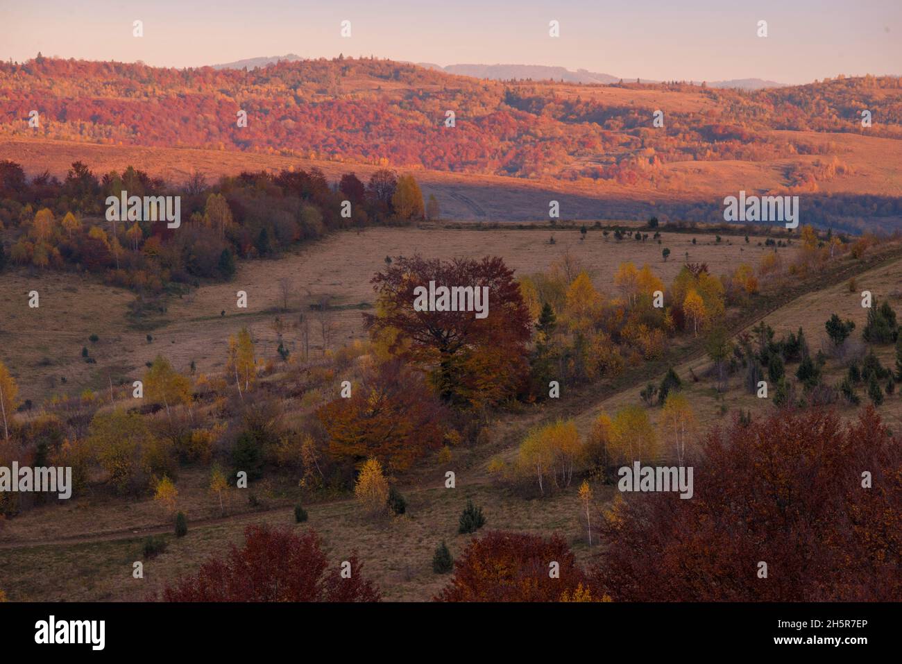 View of hills of Water Dividing ridge covered in red, orange and yellow ...