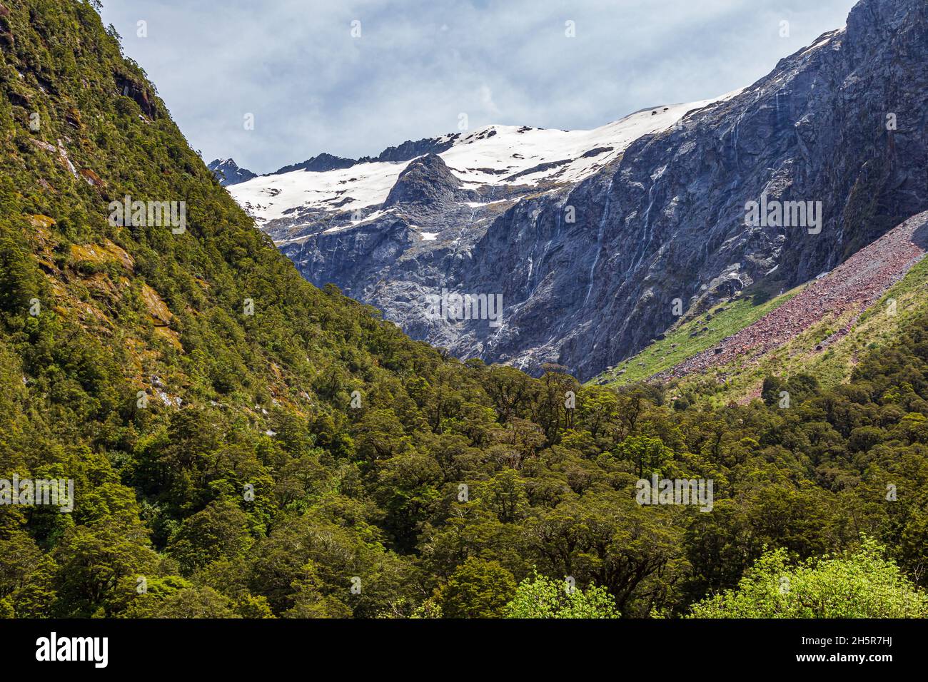 Forested valley between the snowy mountains of the South Island, New Zealand Stock Photo