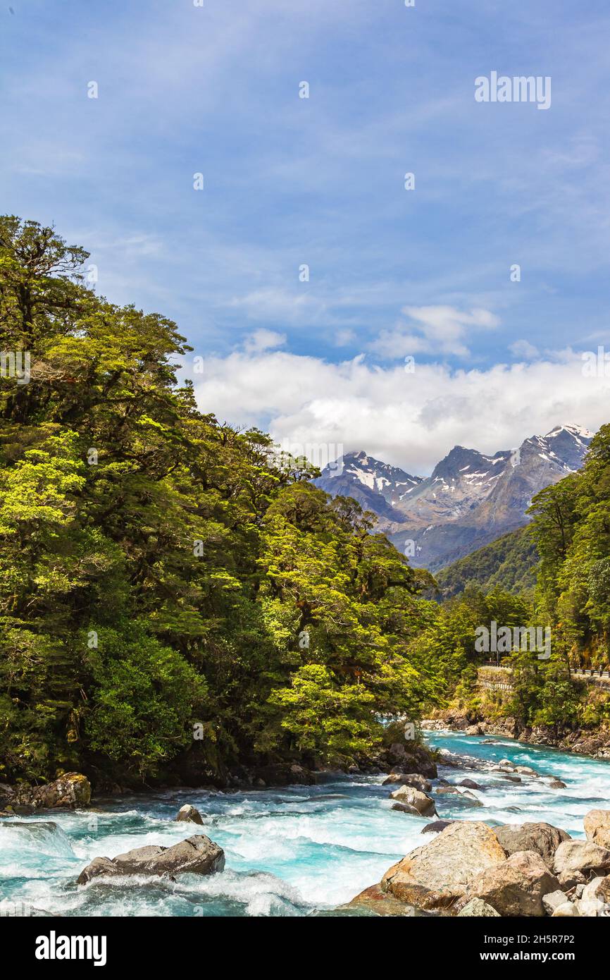 Fast river against the background of mountains. Fiordland national park. South Island, New Zealand Stock Photo