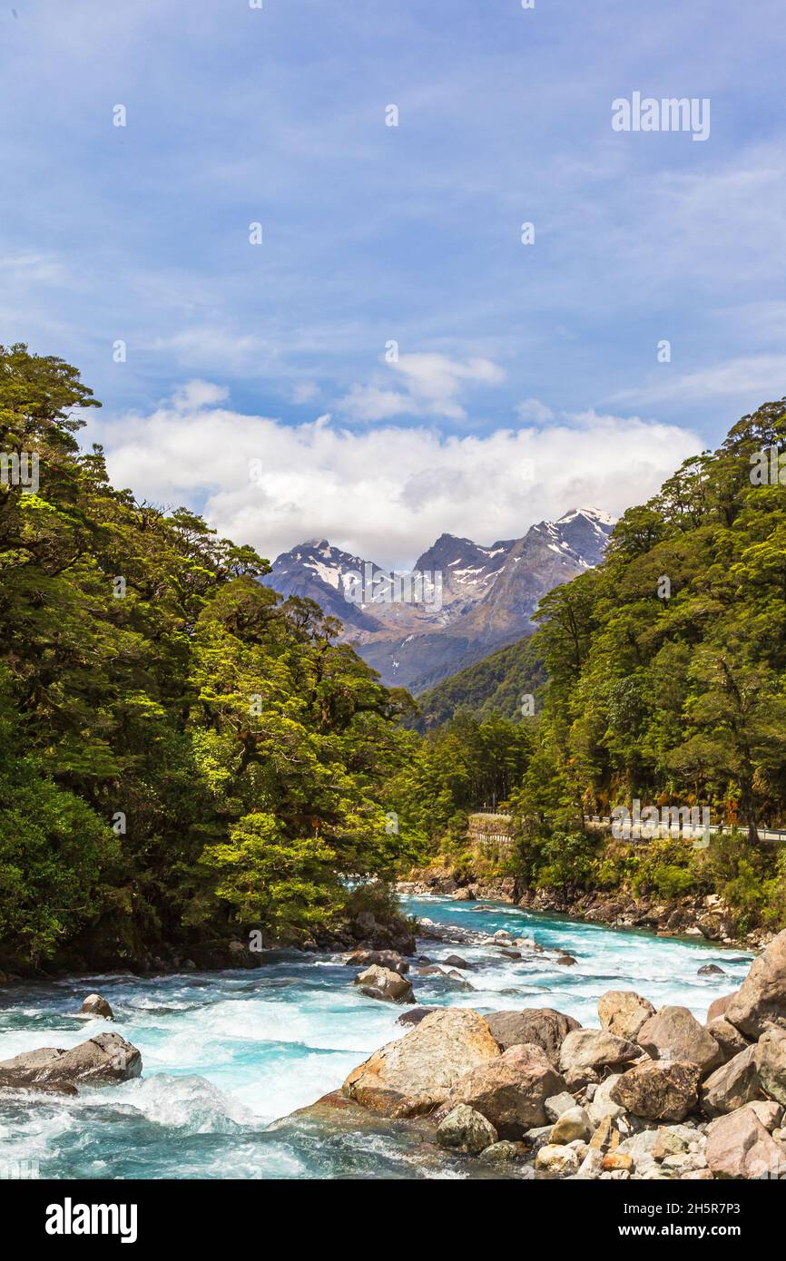 Fast river against the background of mountains. Fiordland. South Island, New Zealand Stock Photo