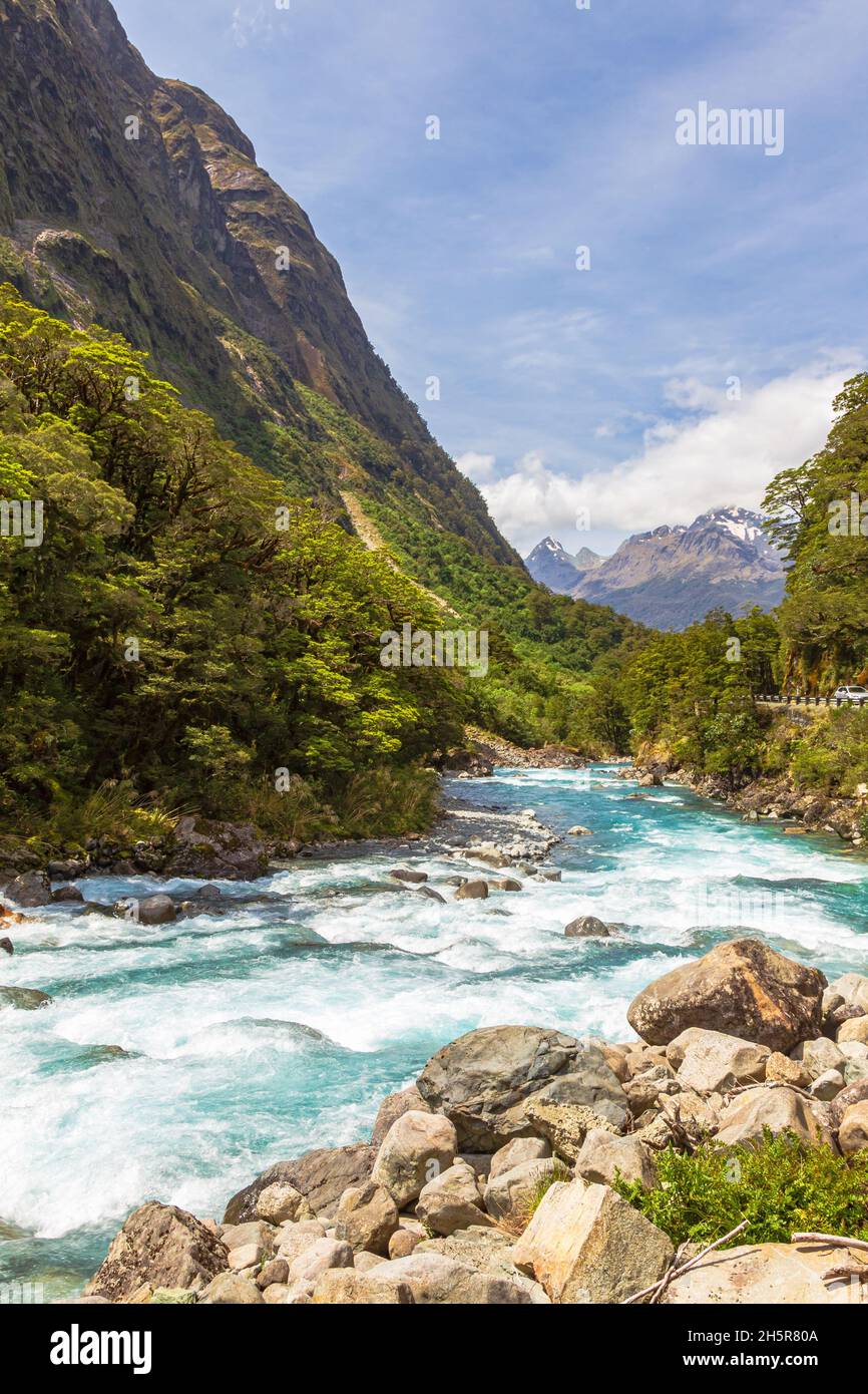 Rough river flows to the fjords. Fjordland. South Island, New Zealand Stock Photo