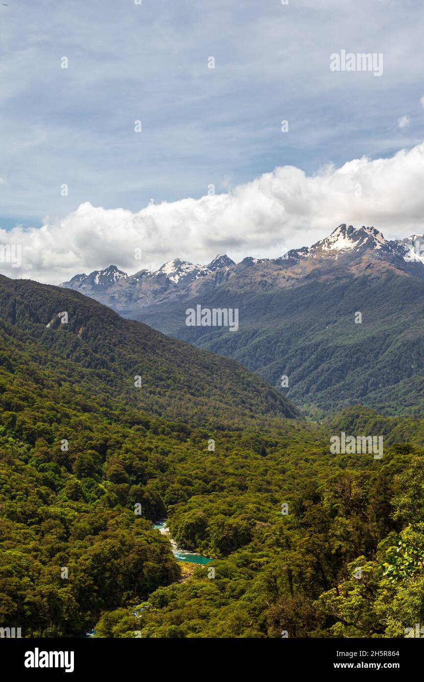 Fiordland National Park. River among the dense forest below. South Island, New Zealand Stock Photo