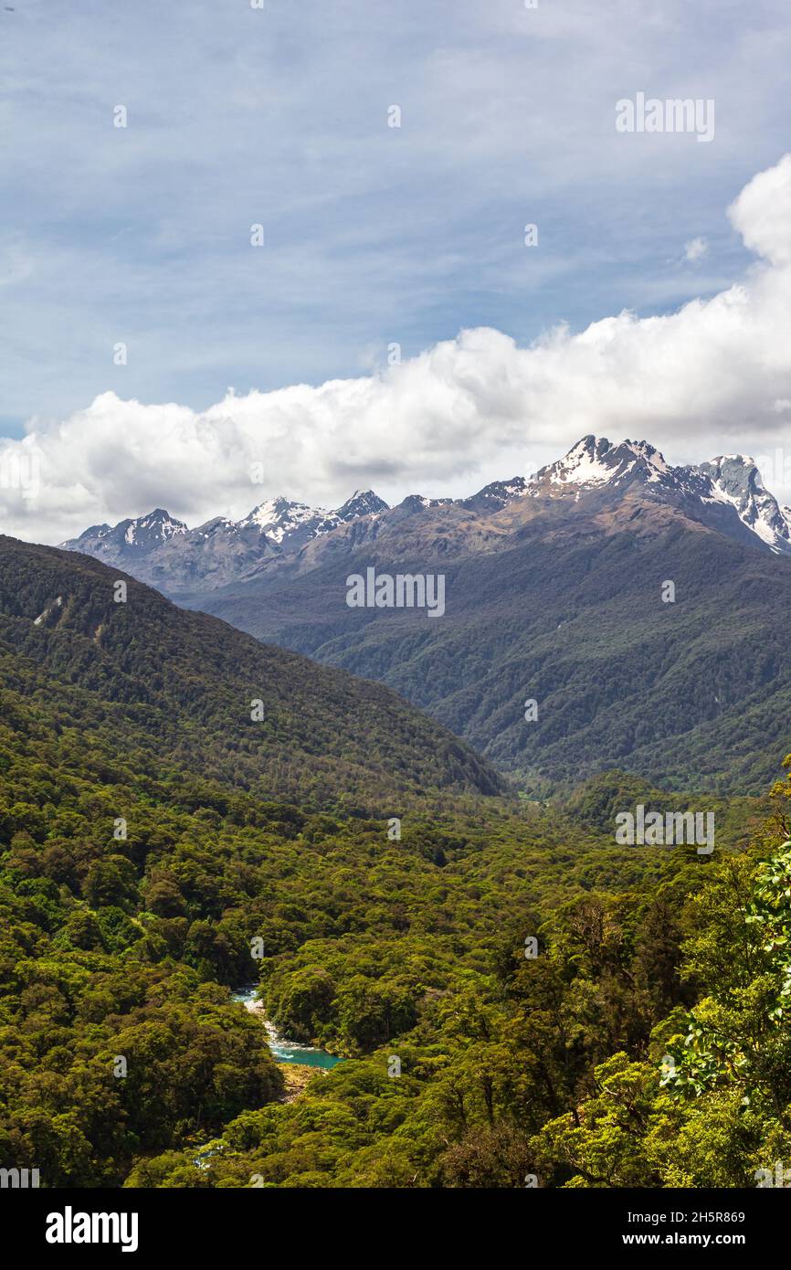 Landscapes of the South Island. Fiordland National Park. River among the dense forest below. South Island, New Zealand Stock Photo