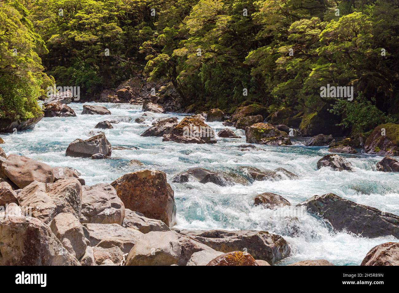 A fast river near Pop's View lookout. Fiordland. South island, New