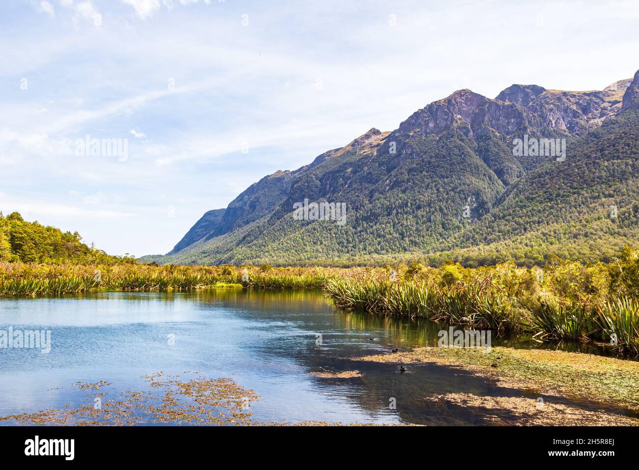 Beautiful lakes of the South Island. Lake Mirror. Fiordland, New Zealand Stock Photo