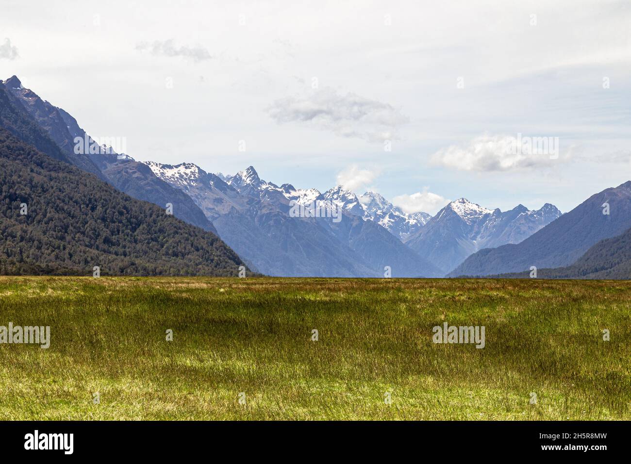 Fields and distant snowy mountains on the way to Milford Sound. Fiordland. New Zealand Stock Photo