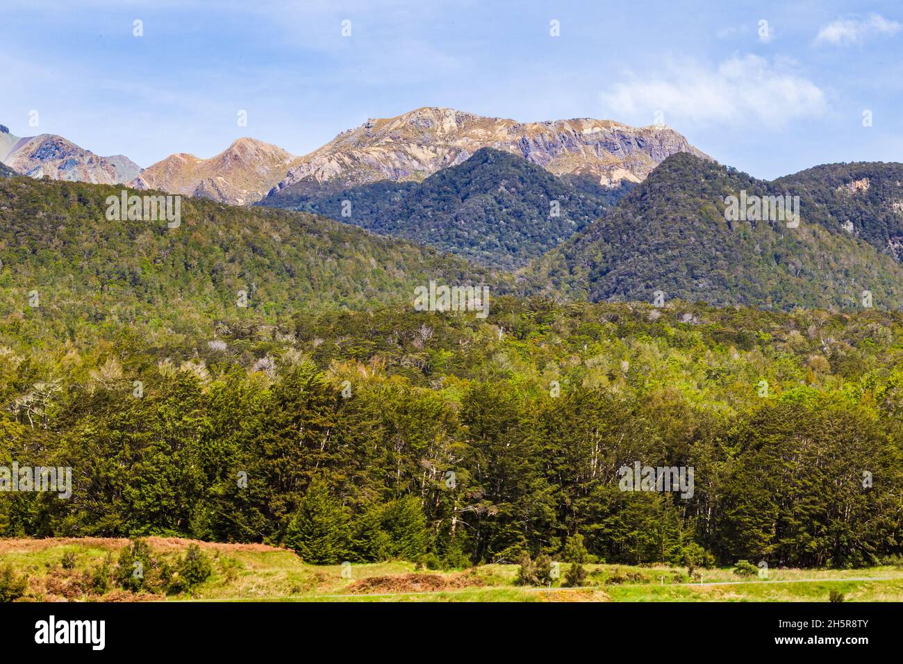 Landscapes of the New Zealand on the way to Milford Sound. Fiordland National Park. South Island Stock Photo