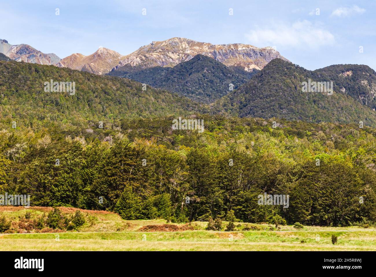 South Island landscapes on the way to Milford Sound. Forest and picturesque rocks. Fiordland National Park. New Zealand Stock Photo