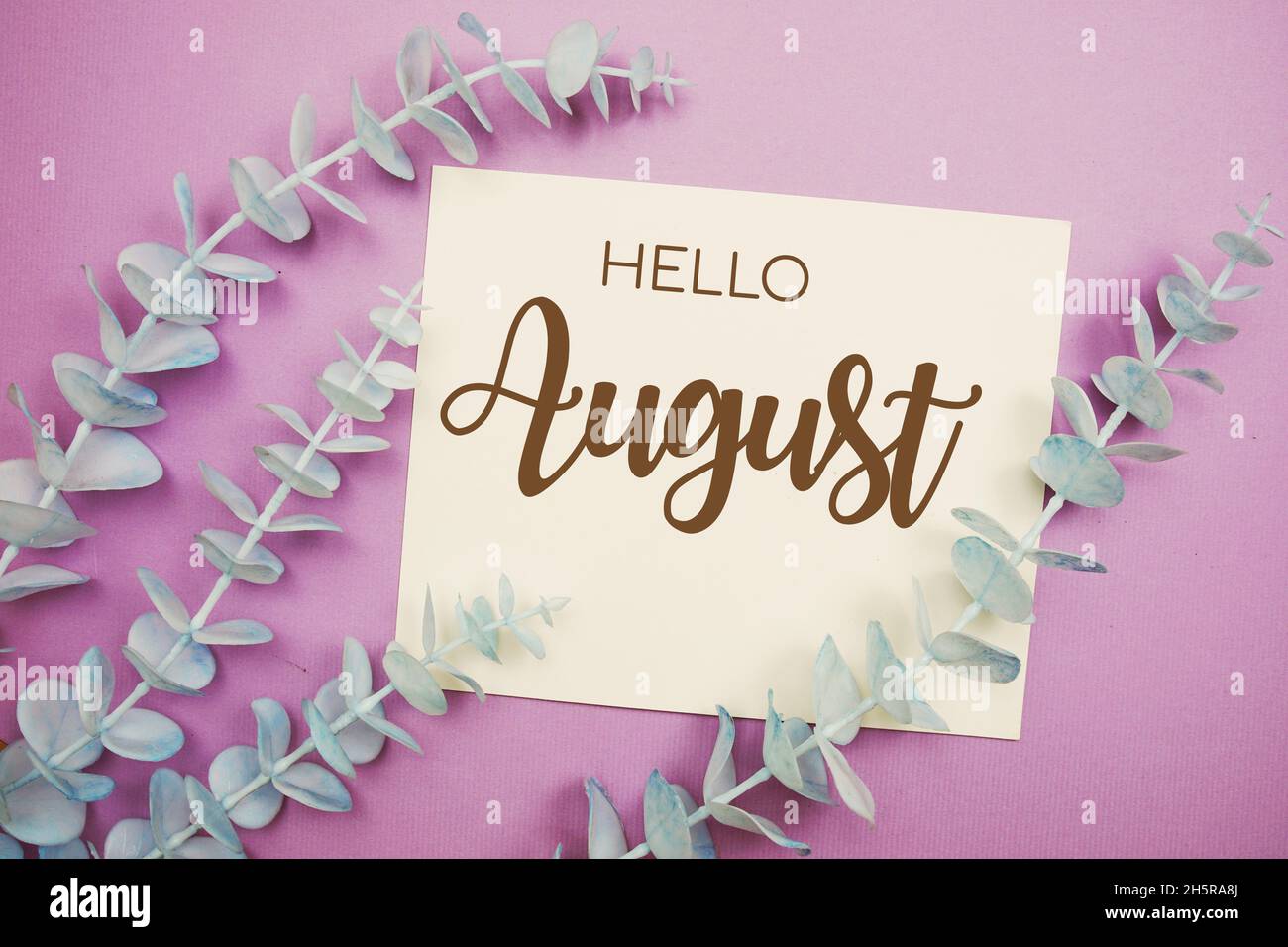 Hello August typography text on paper card decorate with eucalyptus on