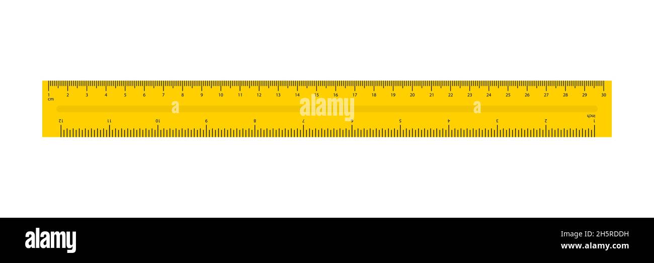 Ruler in flat style. Simple isolated flat vector illustration Stock Vector