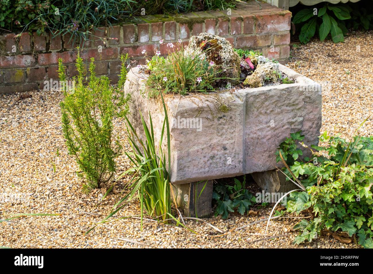 Stone Trough. Plant container. Alpine species. East Ruston Old Vicarage Gardens, Norfolk. Stock Photo