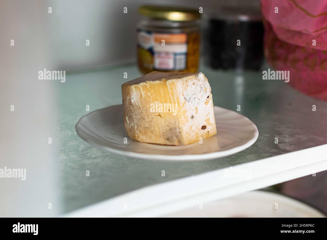 Spoiled cheese covered with mold on a shelf in the refrigerator. Stock Photo