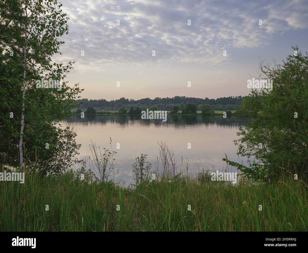 misty morning by the lake with calm water, fog and reflections of trees ...