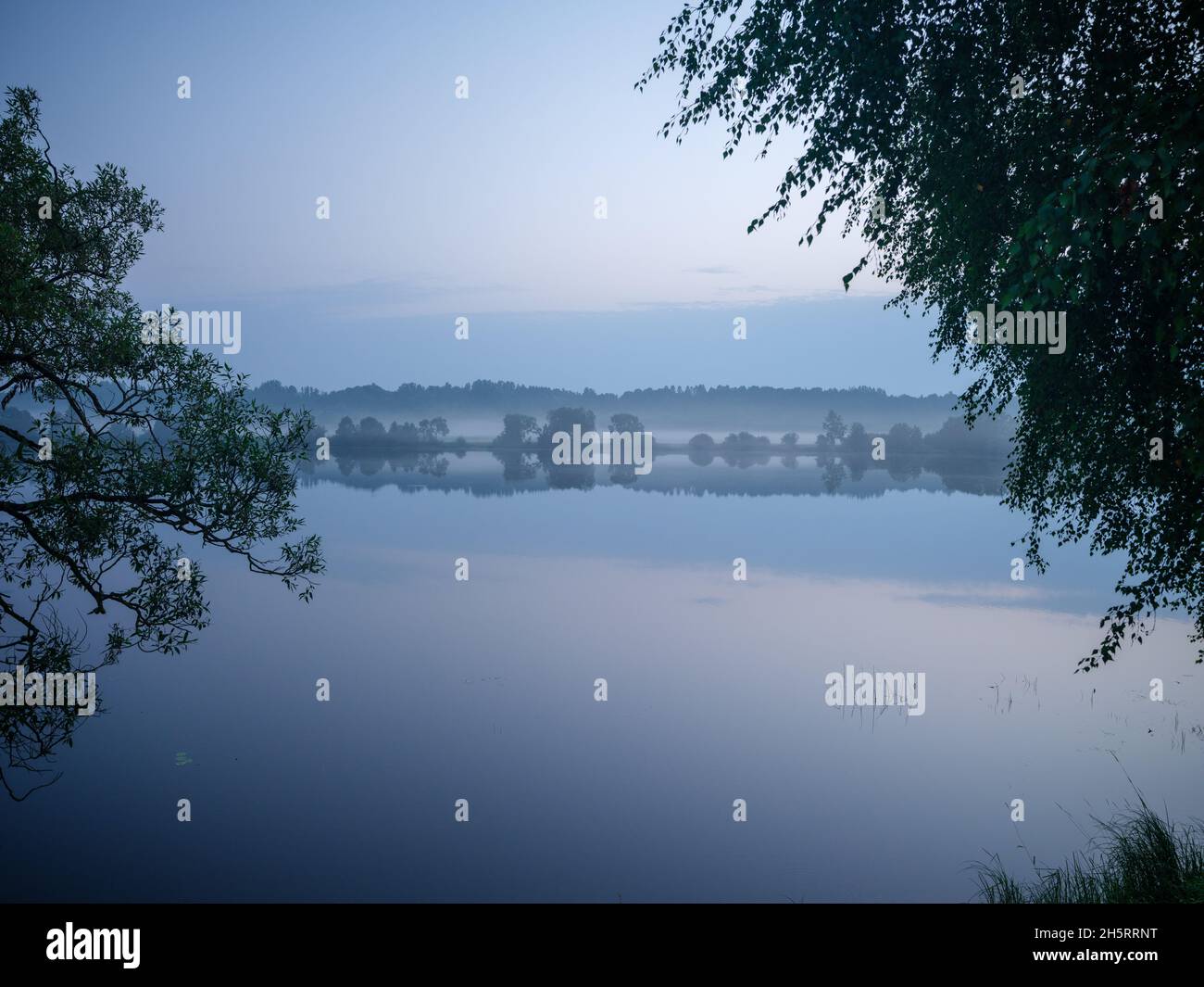 misty morning by the lake with calm water, fog and reflections of trees ...