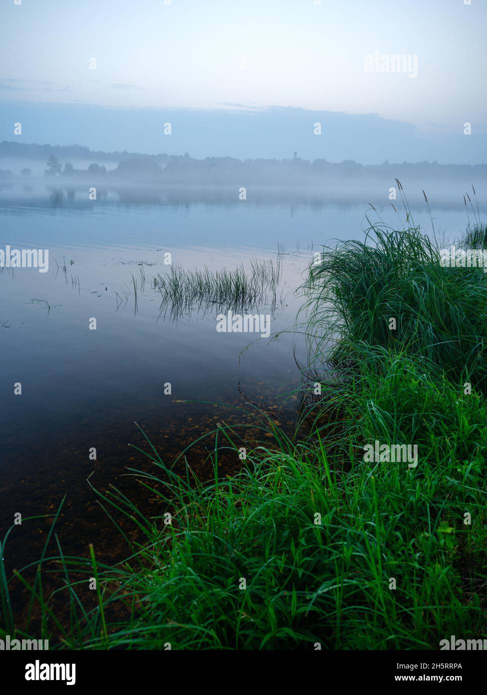 misty morning by the lake with calm water, fog and reflections of trees ...