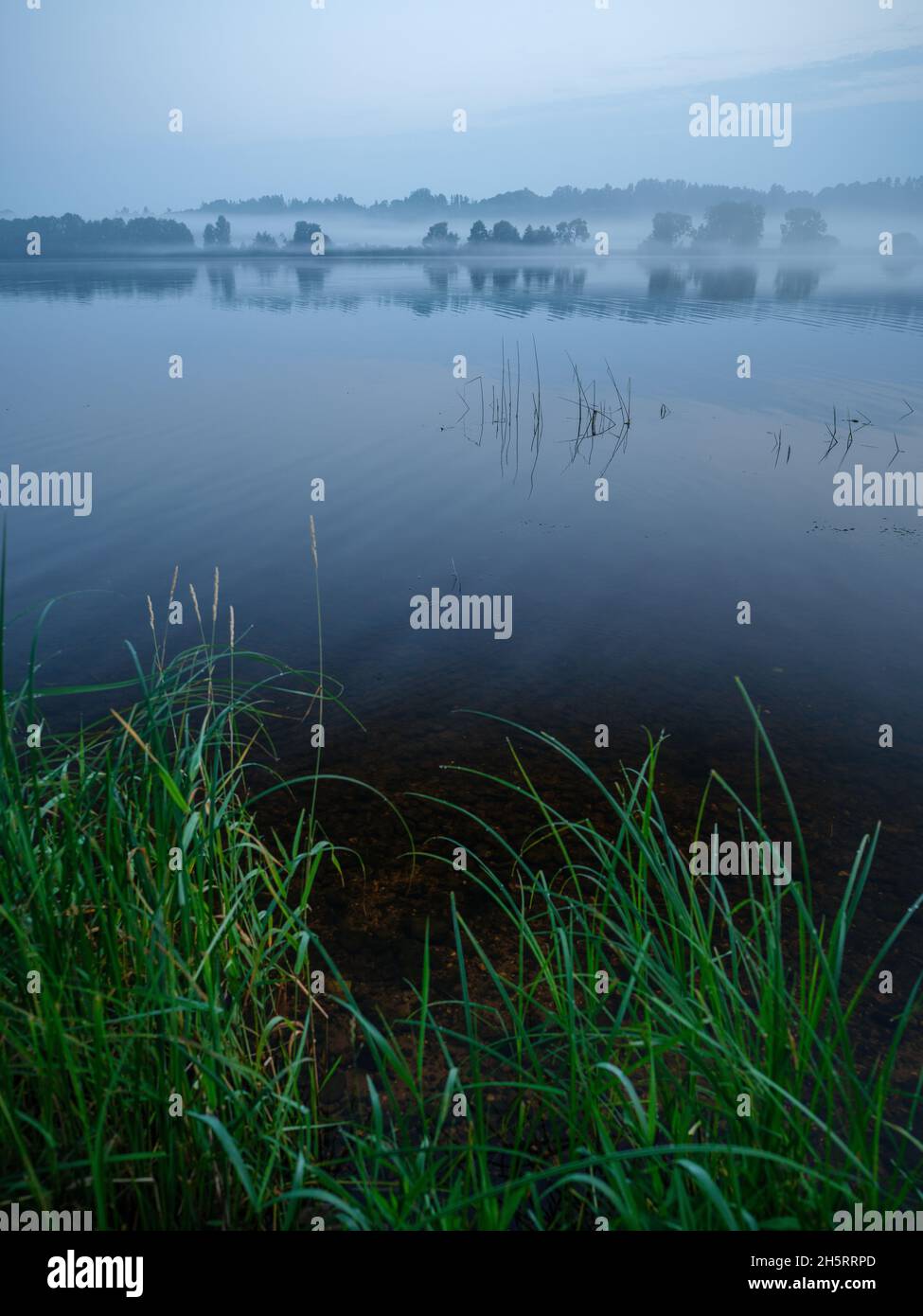 misty morning by the lake with calm water, fog and reflections of trees ...