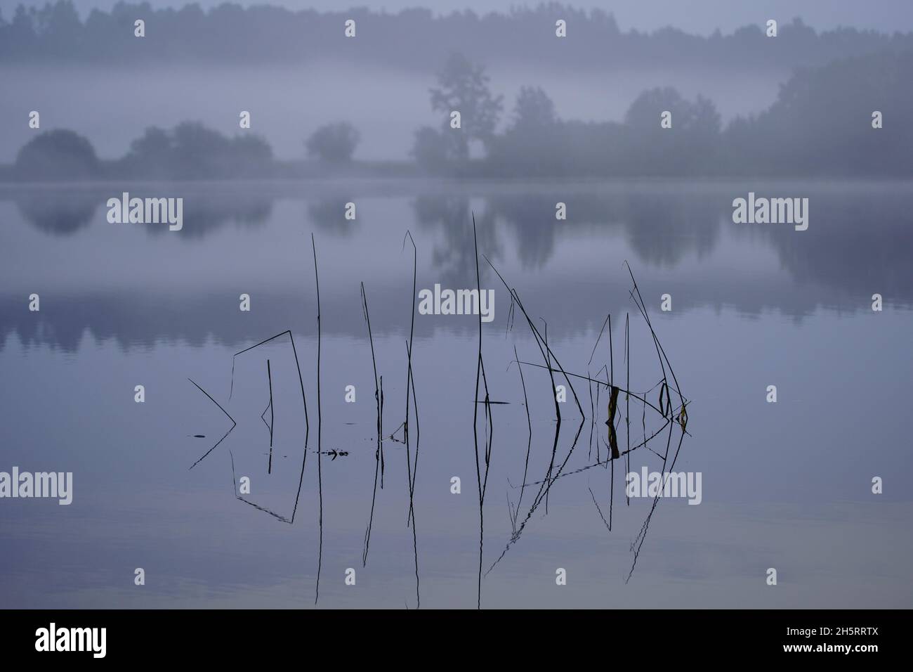 misty morning by the lake with calm water, fog and reflections of trees ...